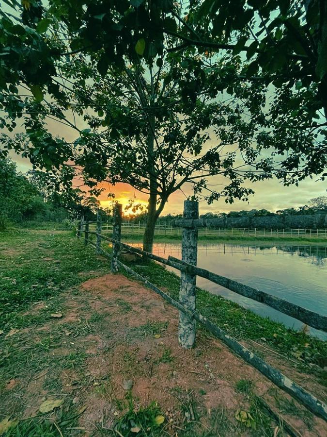 Agastya Lake View Coorg Madikeri Exterior foto