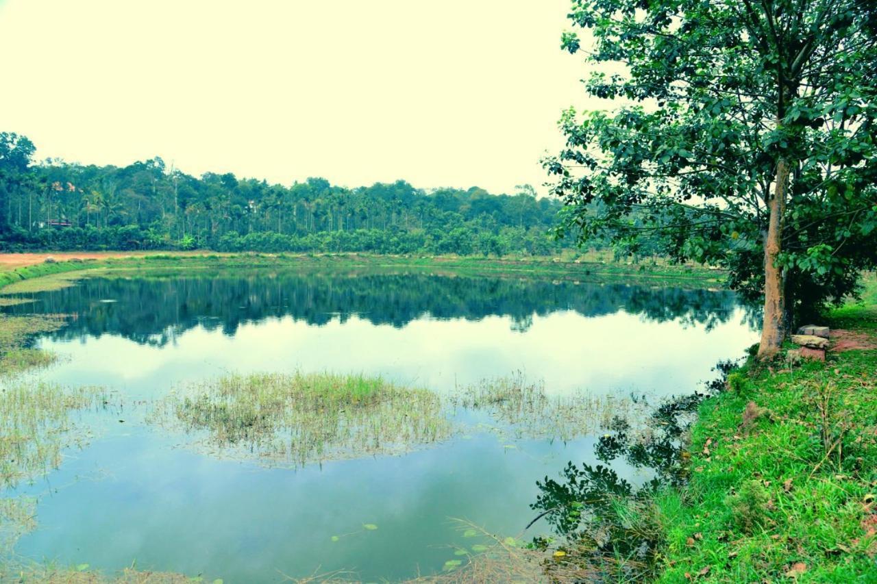 Agastya Lake View Coorg Madikeri Exterior foto